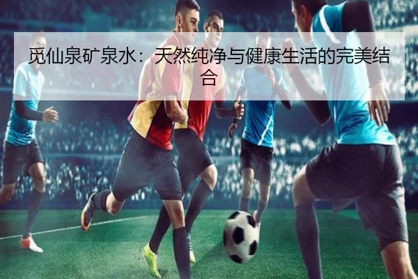觅仙泉矿泉水:天然纯净与健康生活的完美结合